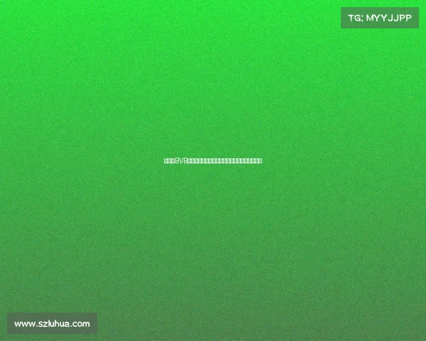 大黄蜂BVB多特蒙德激情赛事威斯特法伦球场热血沸腾时刻